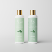 Duo cheveux gras