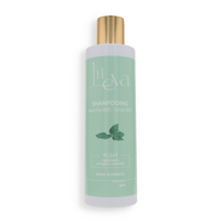 Shampooing cheveux gras