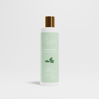 Shampooing cheveux gras